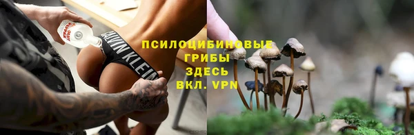 mix Бородино