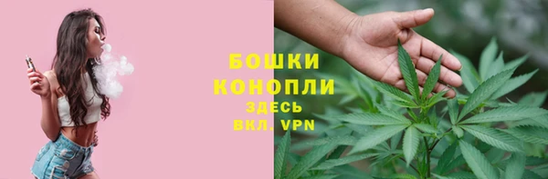 гидропоника Бронницы