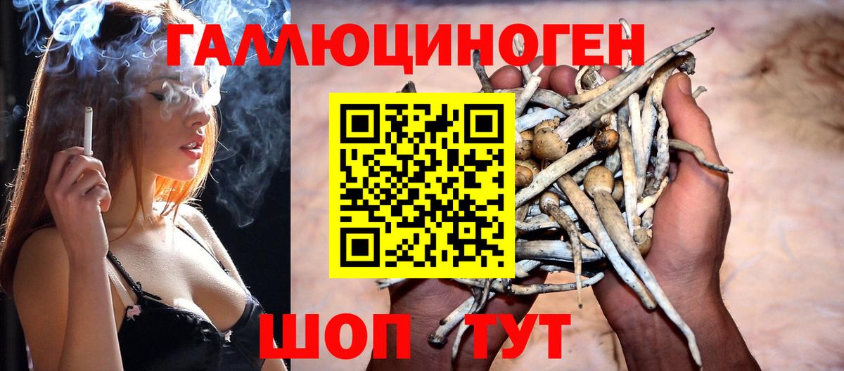 Галлюциногенные грибы ЛСД  Вход с VPN  Дивногорск 