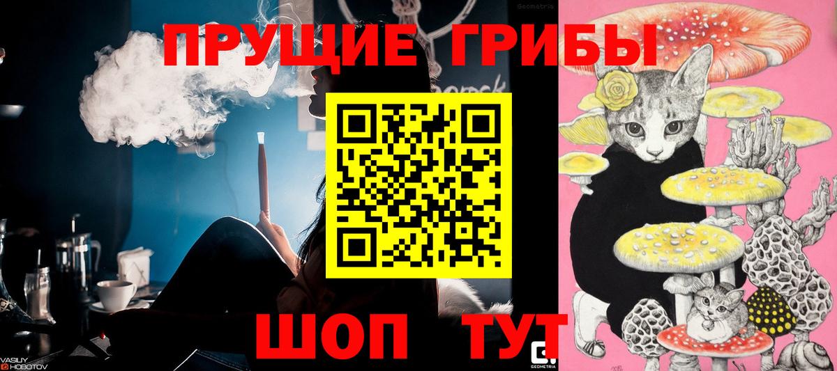 Псилоцибиновые грибы MAGIC MUSHROOMS Дивногорск