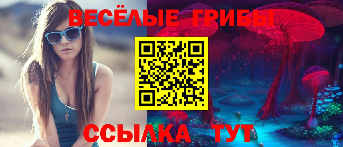 Псилоцибиновые грибы ЛСД  Дивногорск 