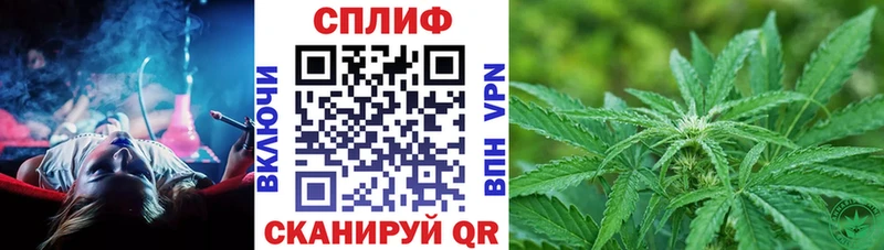 Бошки Шишки марихуана  Дивногорск 